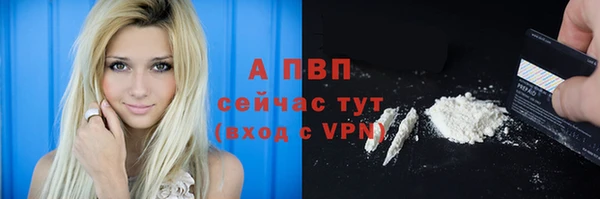 гашик Абинск