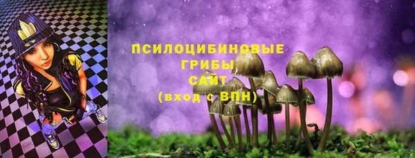 тгк Абаза